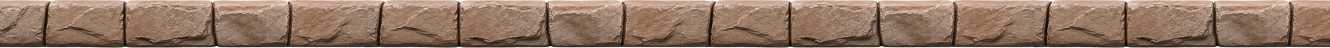 Decorative concrete curbing